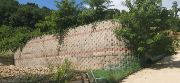 [ 본건(20) 전  경 ]