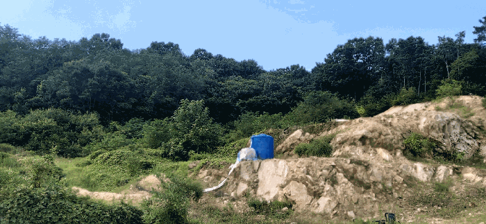 [ 본건(31) 전  경 ]