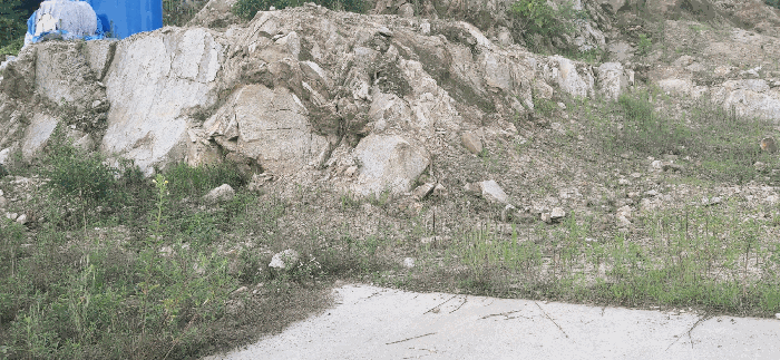 [ 본건(9) 전  경 ]