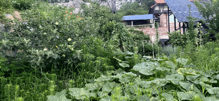 [ 본건(11) 전  경 ]