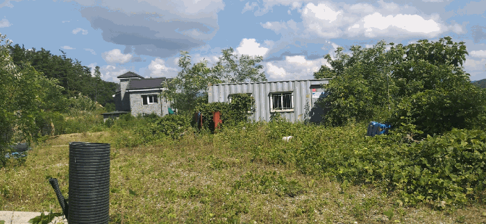 [ 본건(24) 지상(제시외물건) ]