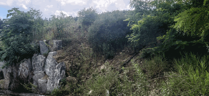 [ 본건(10) 전  경 ]