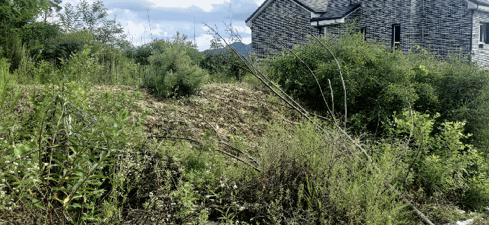 [ 본건(18) 전  경 ]