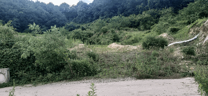 [ 본건(21) 전  경 ]