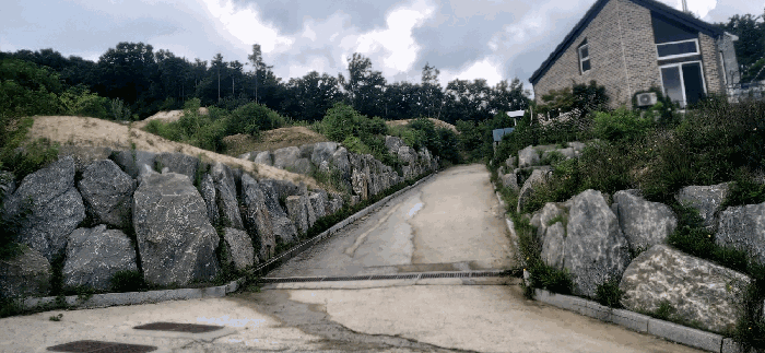 [ 본건(29) 전  경 ]