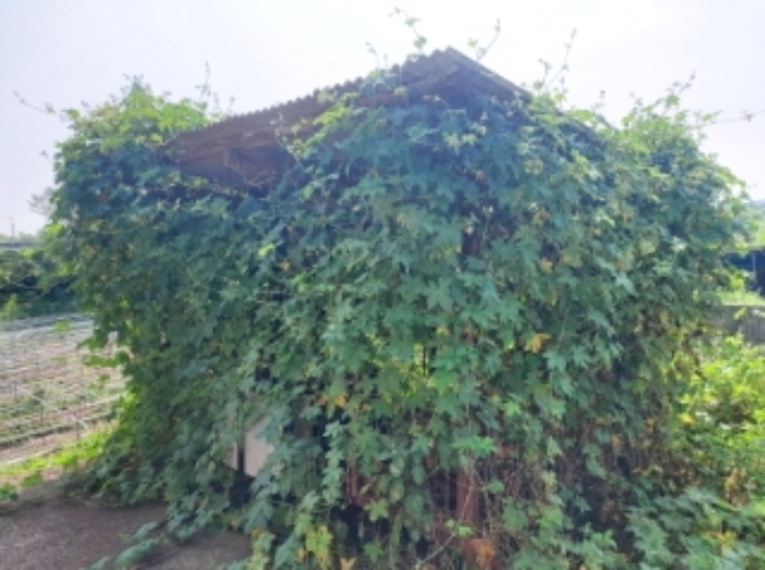 제시외 4.가축사