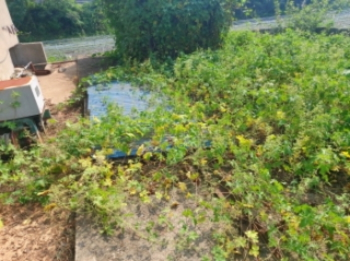 저수조로 보이는 바닥 구조물