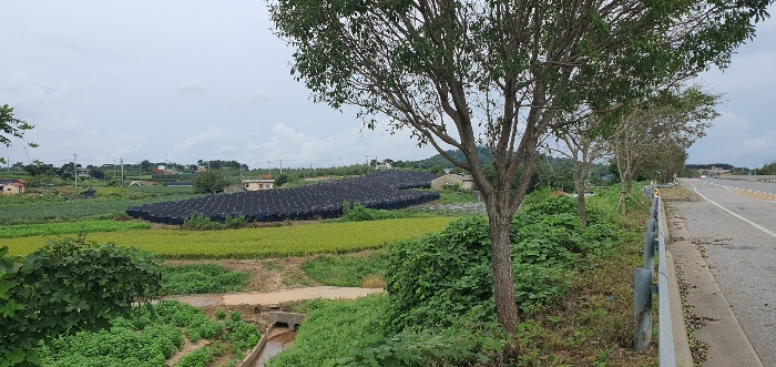 본건 남동측에서 촬영한 주변 전경