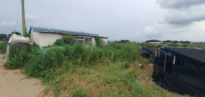 일련번호(2) 및 제시외건물㉠