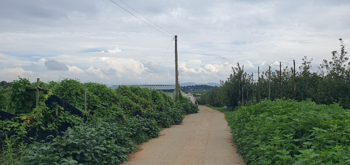 본건 북서측에서 촬영한 주변 전경