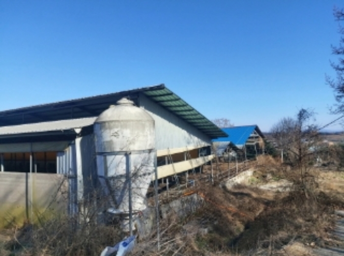 5.목록 건물