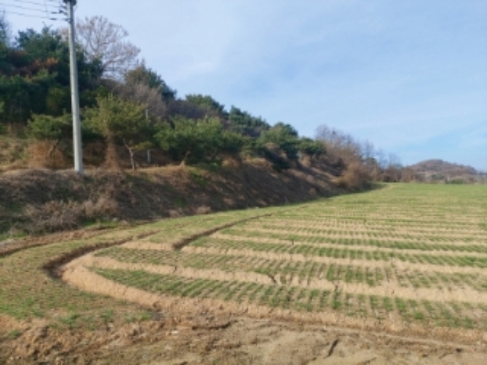 2.목록 토지