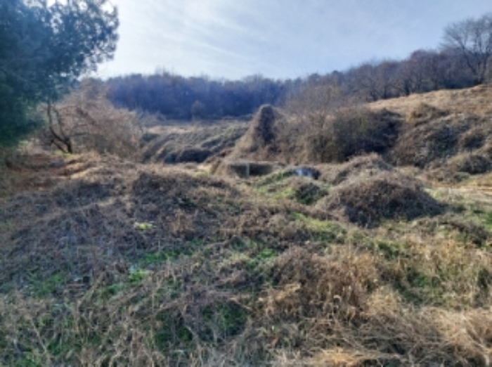 2.목록 토지