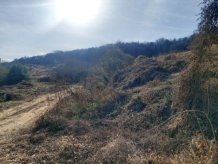 2.목록 토지