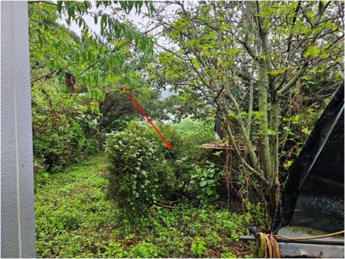 일련번호7 토지 전경