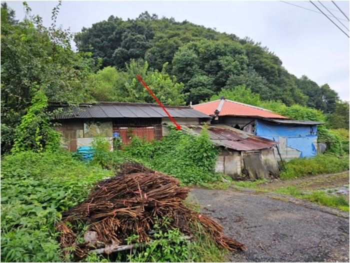 일련번호8 토지 전경