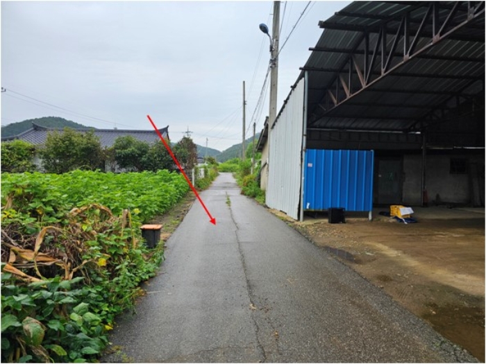 일련번호11 토지 전경