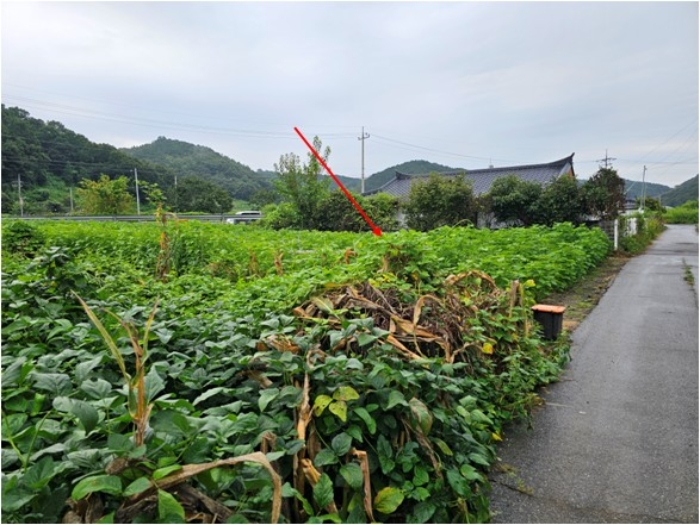 일련번호12 토지 전경