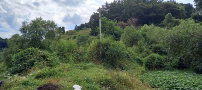 목록 1. 토지(휴경지로 잡풀이 무성함)