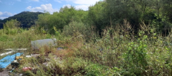 목록 1. 토지(휴경지로 잡풀이 무성함)