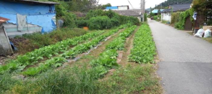 목록 1. 토지(텃밭으로 농작물을 경작 중에 있음)