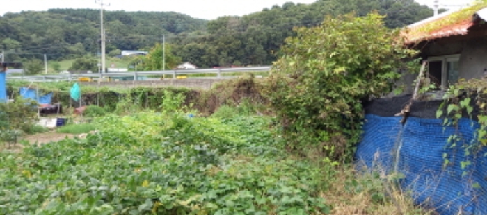 목록 2. 토지(텃밭)