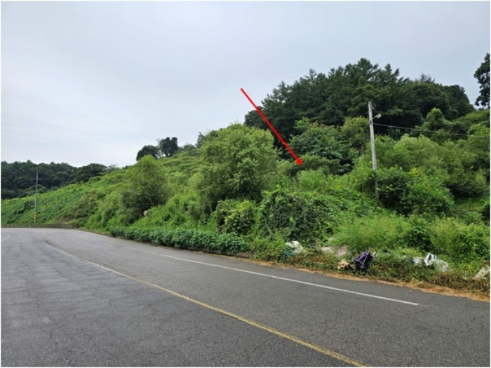 일련번호1 토지 전경