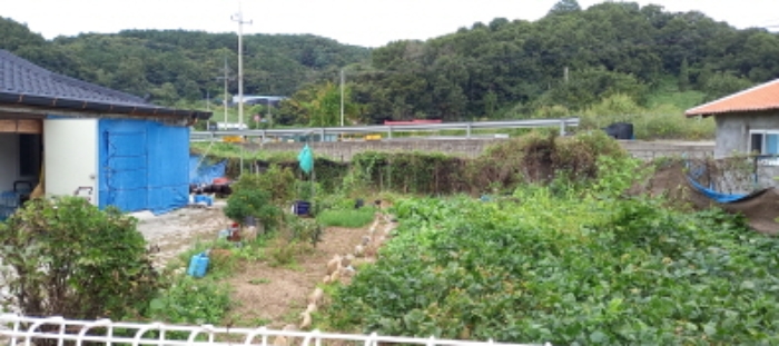 목록 5. 토지 및 목록 12. 토지(텃밭)