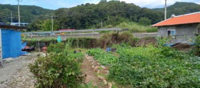 목록 5. 토지 및 목록 12. 토지(텃밭)