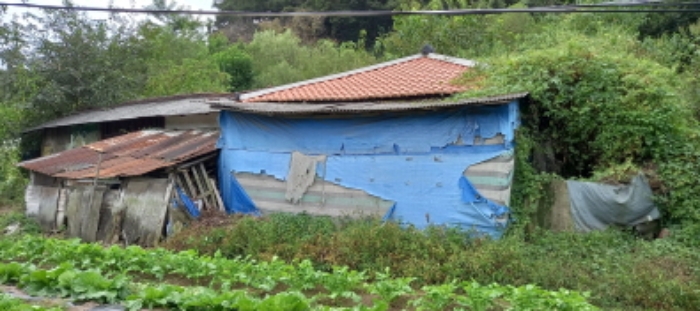 목록 8. 토지 및 그 지상 주택