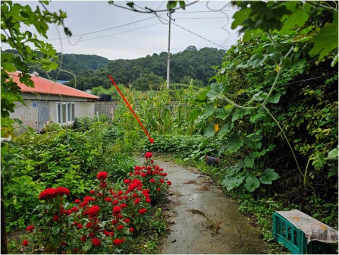 일련번호3 토지 전경