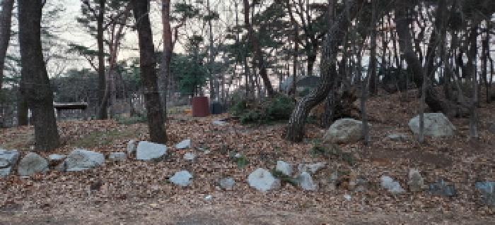 목록4 임야 전경1