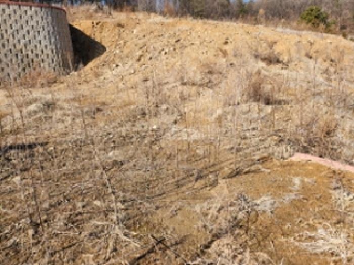 목록2 토지 전경