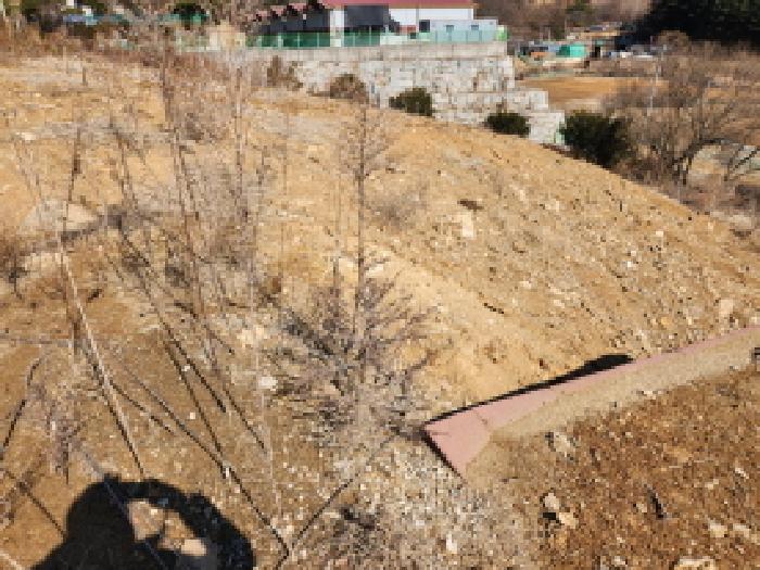 목록2 토지 전경