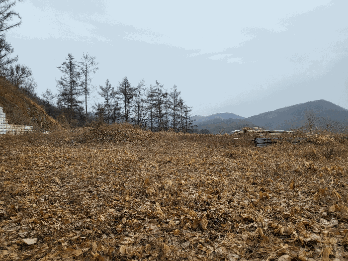 일련번호(4) 전경