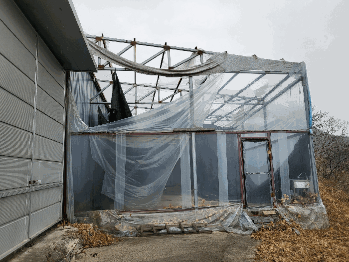 제시외 건물(ㄱ) 전경