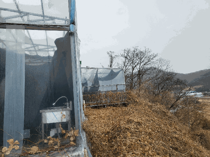 제시외 건물(ㄴ) 전경