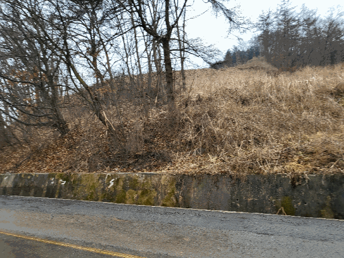 일련번호(6) 전경