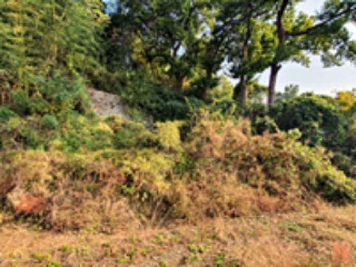 기호1 토지 및 주변전경