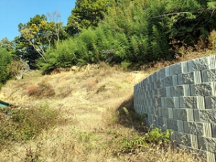 기호2 토지 및 주변전경