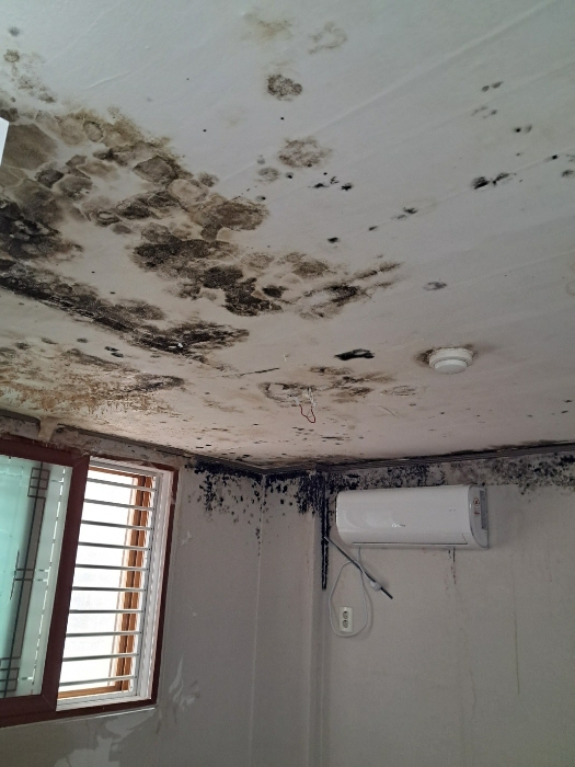 그린엠빌딩 1층 101호 천정 및 벽 누수일부분
(수리완료된 것으로 조사됨)