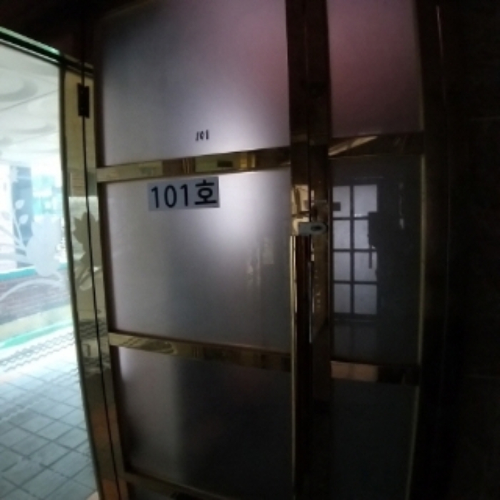 세대 출입문(101호)