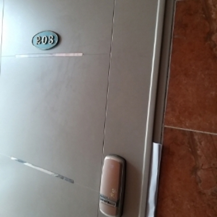 세대 출입문(203호)