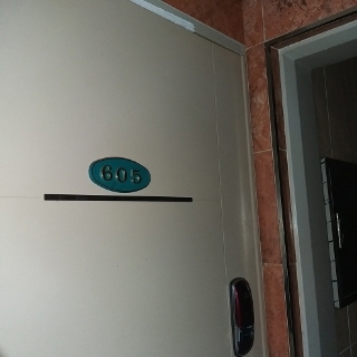 세대 출입문(605호)