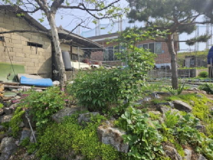 목록1,2. 현장전경