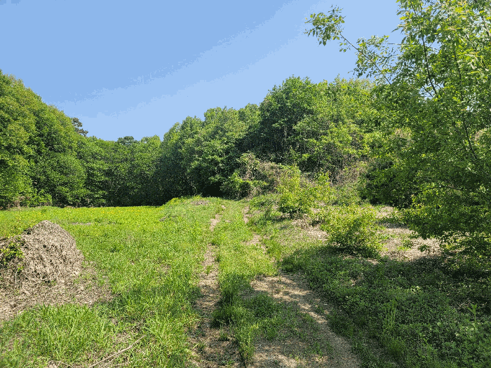 기호(3) 주위환경