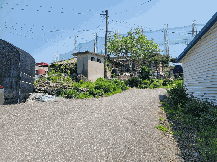 기호(1) 주위환경