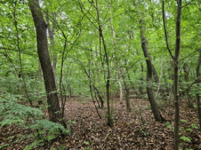 목록3. 현장전경