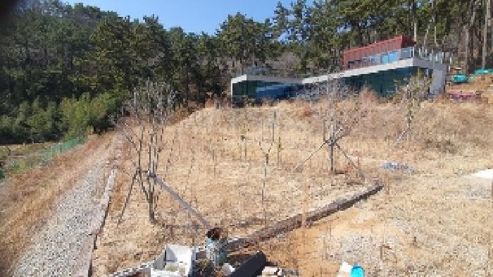 본건3 및 제시외건물(ㄱ)