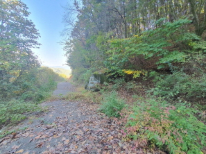 현장사진(토지:영동리 산65-28, 산65-27 부근)